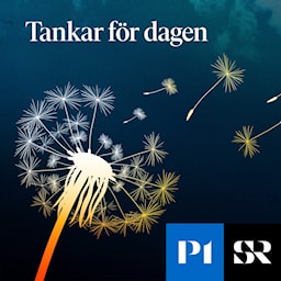 Tankar för dagen — radio